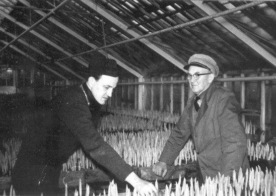 Gunnar o Daniel 1962
